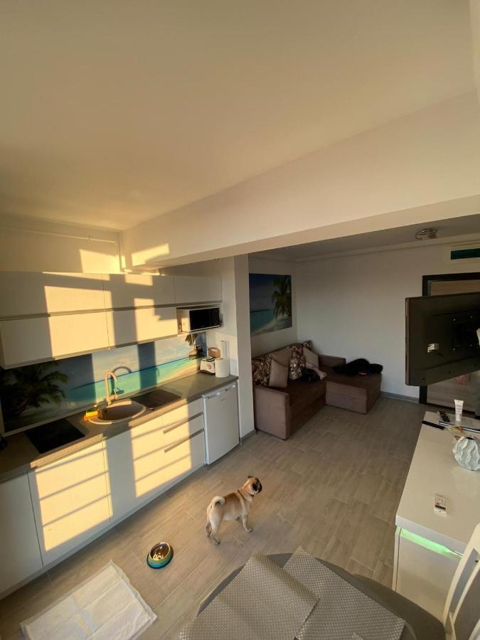 Apartament Edu Beach Resort ナボダリ エクステリア 写真